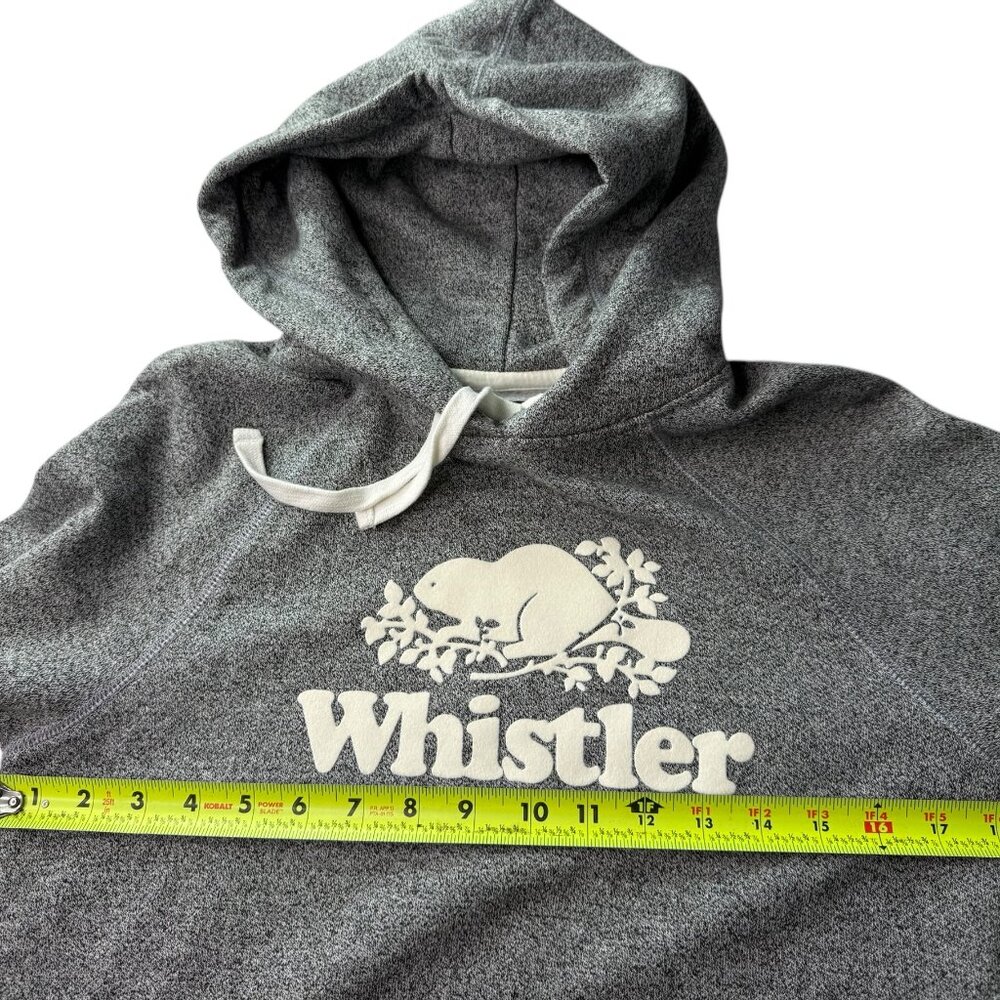 NEW ROOTS Whistler Kanga Hoody Hooded Pullover Sweatshirt Heathered Gray Small - Picture 8 of 10